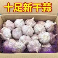 正宗紫白皮新鲜干大蒜辛辣提香可做腊八蒜