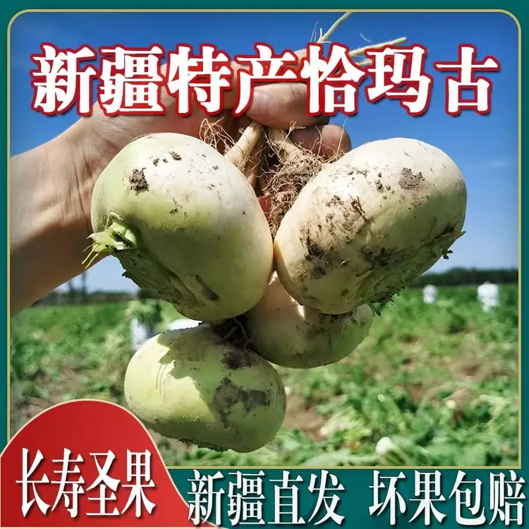 【攒劲专属】新疆特产恰玛古蔓菁新鲜蔬菜5斤