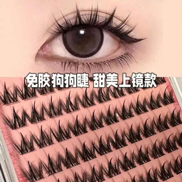 100簇大容量免胶小奶狗~犬系假睫毛懒人浓密自然漫画仿真分段新款