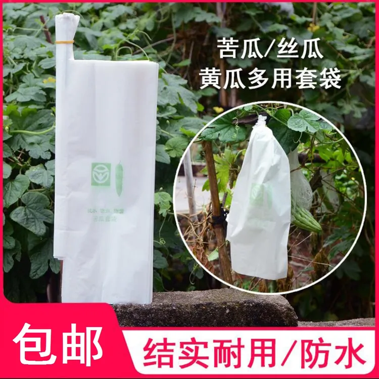 丝瓜黄瓜青瓜苦瓜套袋专用袋防虫袋子保护套纸袋防水瓜果蔬菜水果
