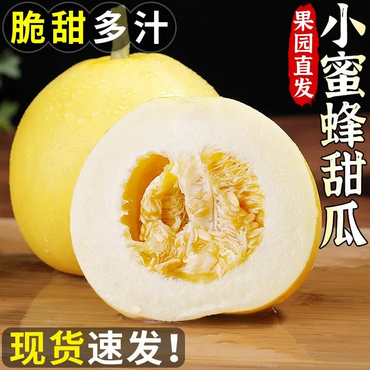 正宗河南小蜜蜂甜瓜当季新鲜水果现摘香瓜蜜罐奶香脆甜瓜大果整箱