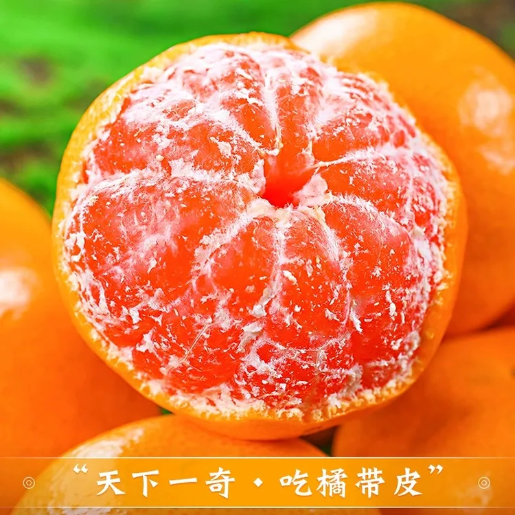 【正宗临海涌泉蜜桔】当季新鲜水果浙江临海涌泉蜜橘鲜甜无核无渣