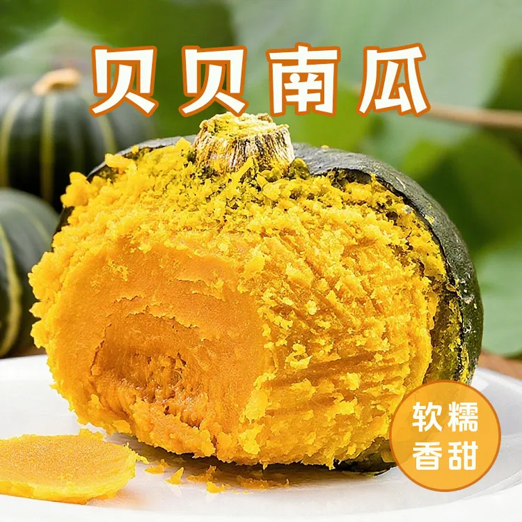 正宗山东贝贝南瓜粉糯香甜板栗味小南瓜现摘现发贝贝板栗南瓜