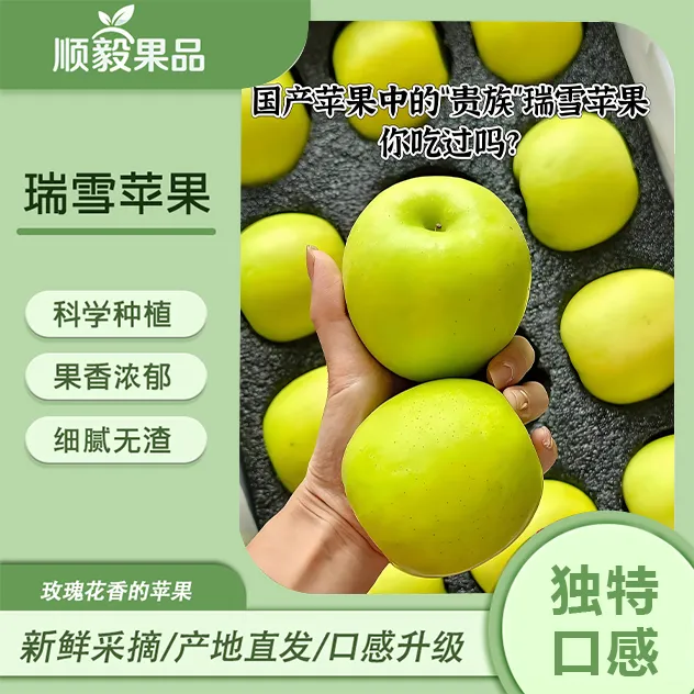 【瑞雪优选】白水发货正宗瑞雪高端品口感升级脆爽多汁适合孕妇儿童