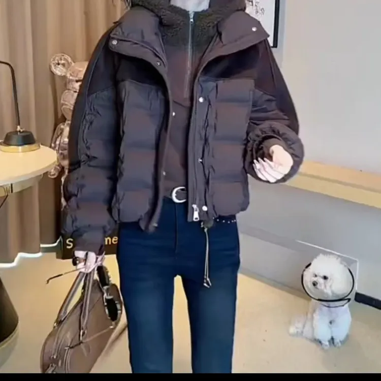 潮流休闲立领网红女士加厚连帽显瘦外套裤子百搭时尚