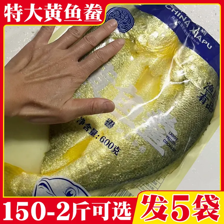 宁德黄鱼鲞霞浦大黄鱼东海咸香三去新鲜腌制冷冻开背黄花鱼非干货