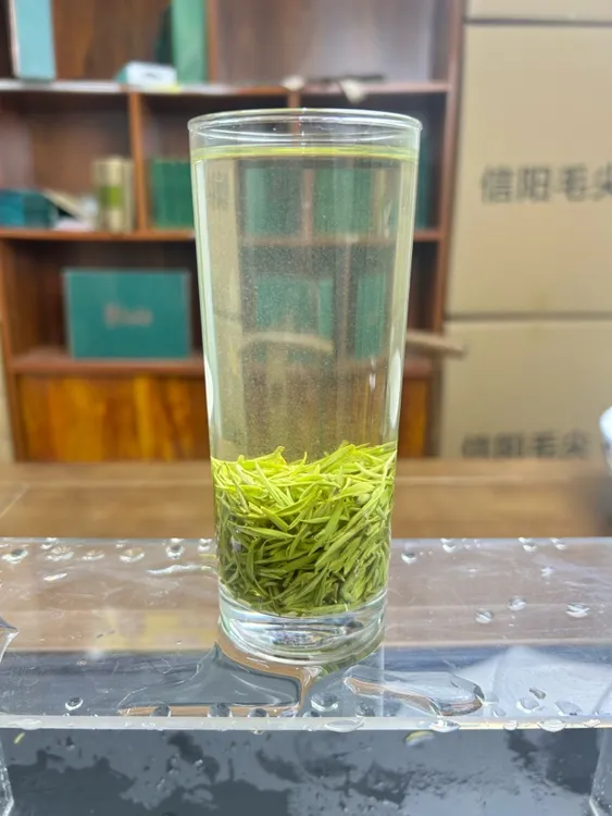 2025年新茶娄头中小芽毛尖茶信阳产正宗信阳毛尖好喝不贵清香浓郁