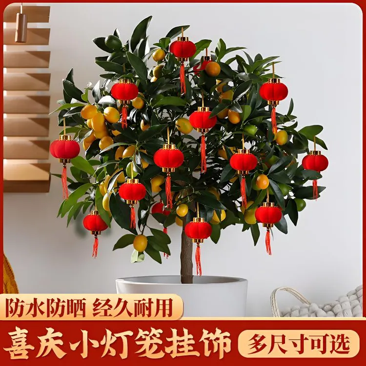 新年小红灯笼2026新款盆栽挂饰结婚装饰红色树上挂件院子户外布置