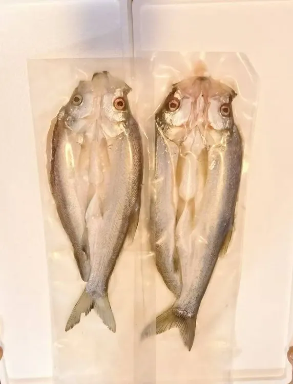 兴凯湖 白鱼半成品（小三白鱼）