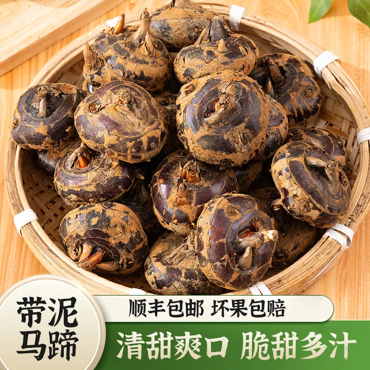 【顺丰包邮】新鲜马蹄荸荠特大果当季即食水果蔬菜清甜多汁现挖地梨