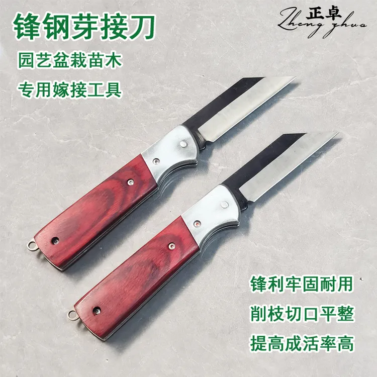广东阳江专业专用正卓7铬钢嫁接刀设计果树修剪园艺多肉嫁接刀刀商品图