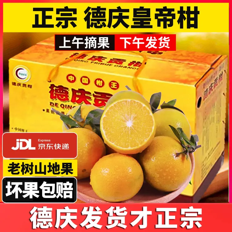 正宗德庆皇帝柑贡柑头茬新鲜水果当季整箱脐橙耙耙柑蜜桔橘子沃柑