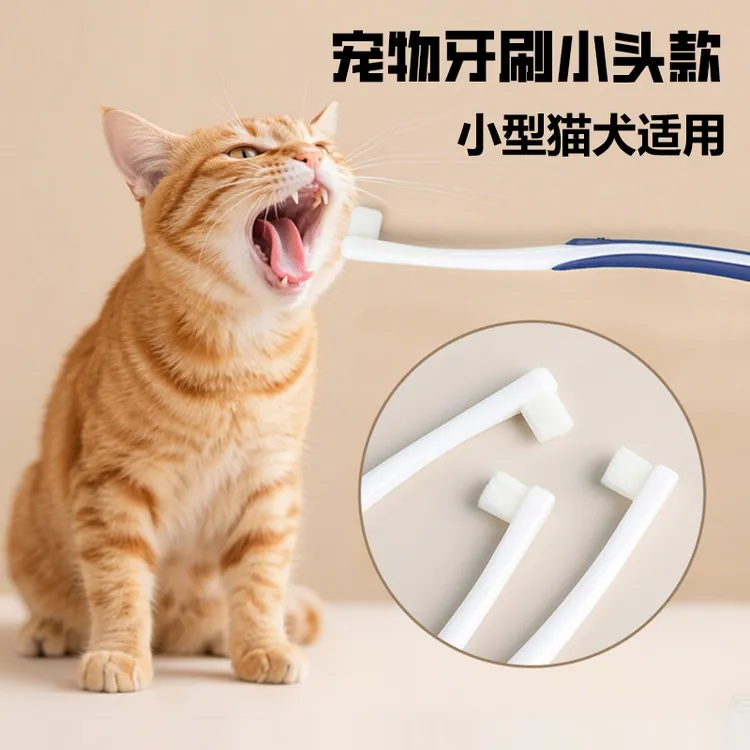 宠物小头牙刷软头猫咪狗狗清新口气牙具口腔清洁牙齿猫狗刷牙XF