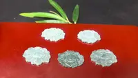 【多样性发货-拍一发一】翠萼凝香