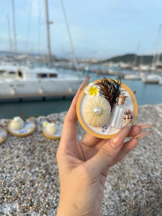 海南三亚天然海胆贝壳漂流瓶手工创意磁吸冰箱贴小众伴手礼纪念品
