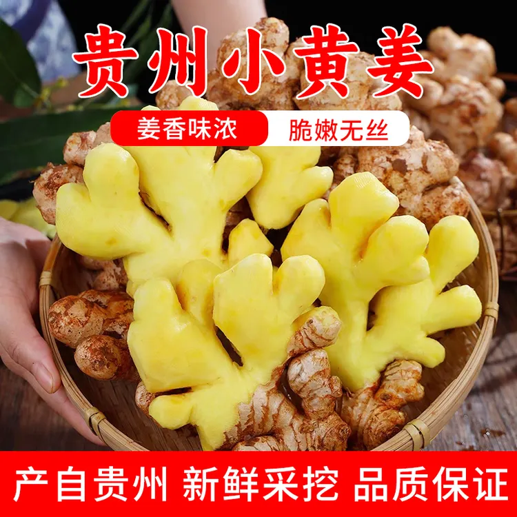 贵州正宗老黄姜新鲜正宗精品香料乡村包邮正品农家(老姜)