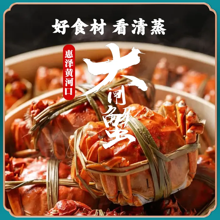 【惠泽黄河口大闸蟹】河蟹活蟹母蟹2.3-2.0两8-10只