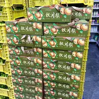 秋月梨礼盒 6枚果 毛重3.5斤左右