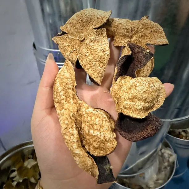 【断层高货甜糯】2017东甲老品种原枝冬后皮新会陈皮