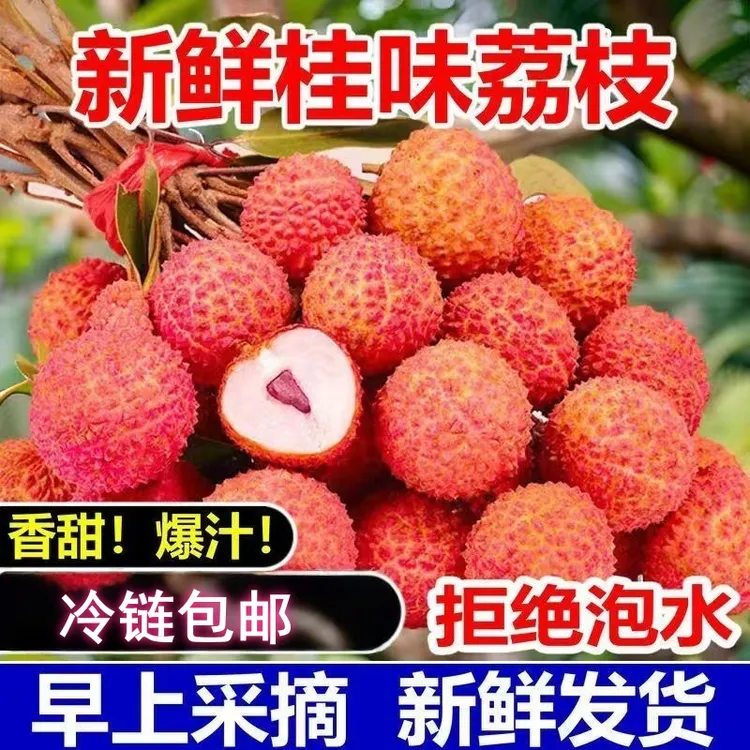 广东桂味荔枝新鲜现摘现发当季荔枝鸭头绿品种冷链包邮