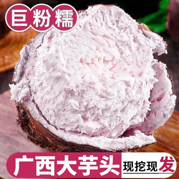 广西正宗槟榔芋大芋头新鲜现挖粉糯细腻香软可口特产大毛芋头