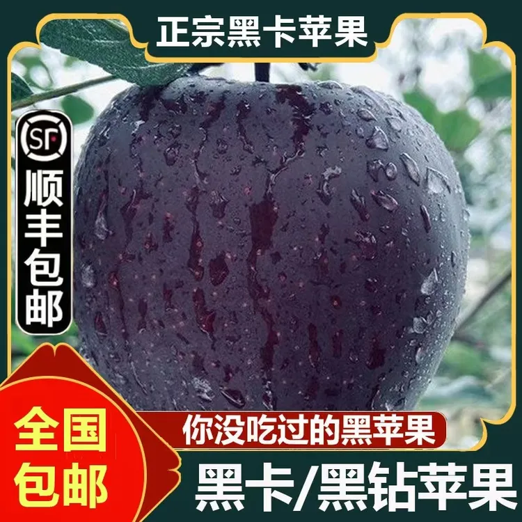 【顺丰包邮】甘肃黑钻黑卡苹果黑色纯甜苹果新鲜当季水果现摘现发