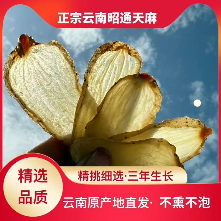 【干天麻可切片磨粉】云南昭通小草坝天麻仿野生长农家自然晾晒