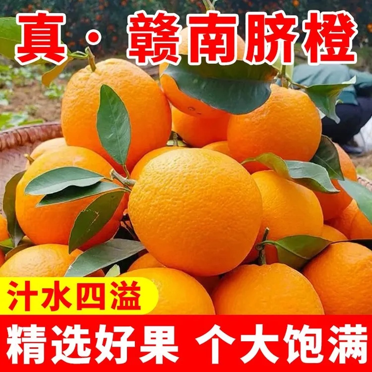 【正宗赣南脐橙】带箱10斤20斤新鲜水果鲜甜树上现摘脐橙当天发出