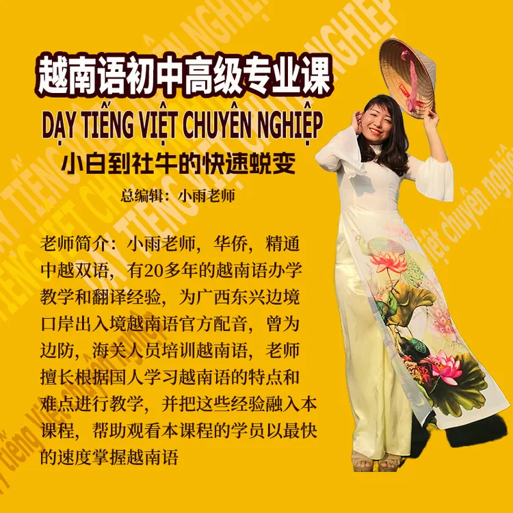 越南语初级+中级+高级全能视频课程一本通