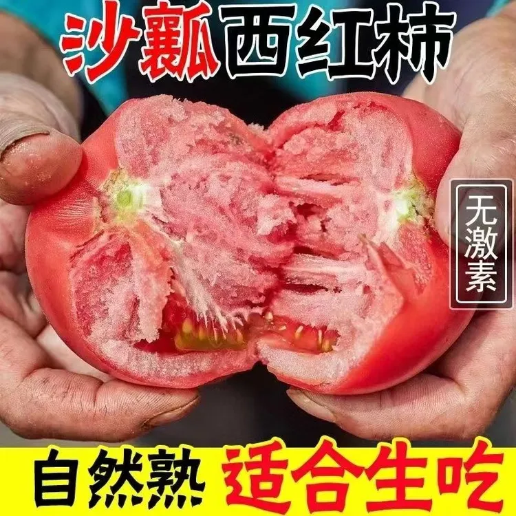 农家老品种沙瓤西红柿现摘自然成熟生吃5斤