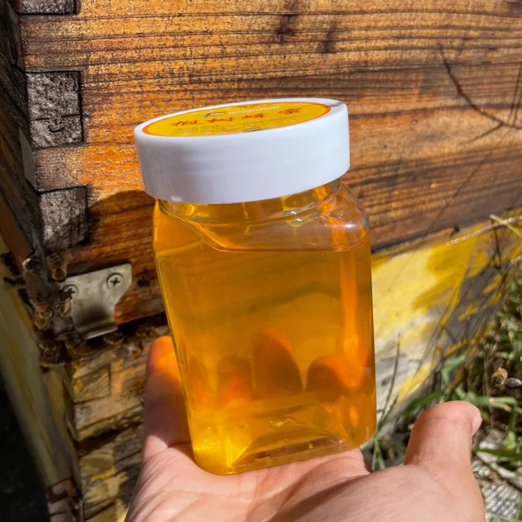 【华老黑专属】椴树蜂蜜3瓶