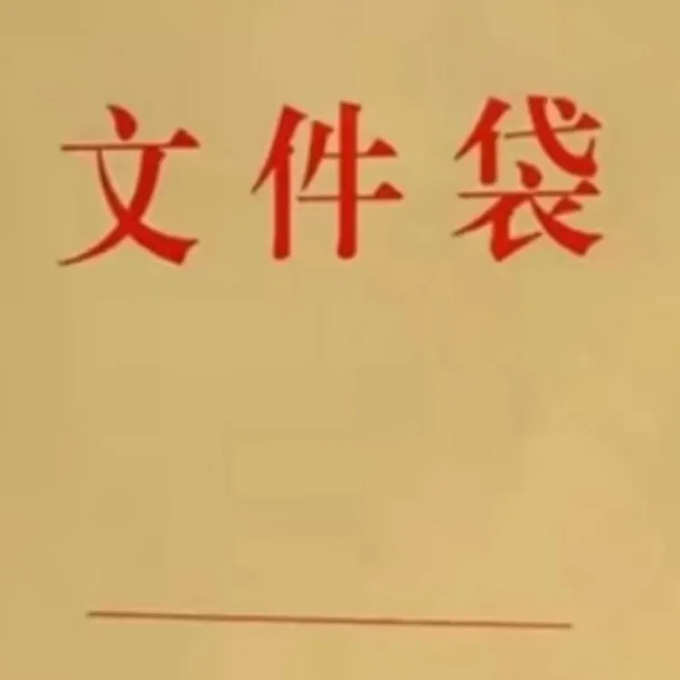 文件资料袋（学习资料）赠送眼贴一盒10贴