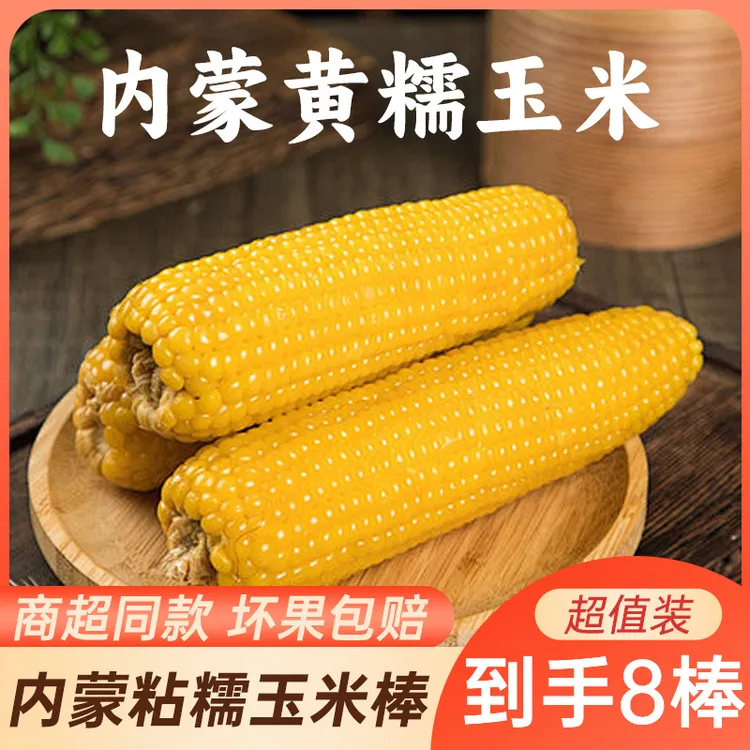 2025内蒙黄糯玉米单根280g软糯香甜营养粗粮甜糯玉米