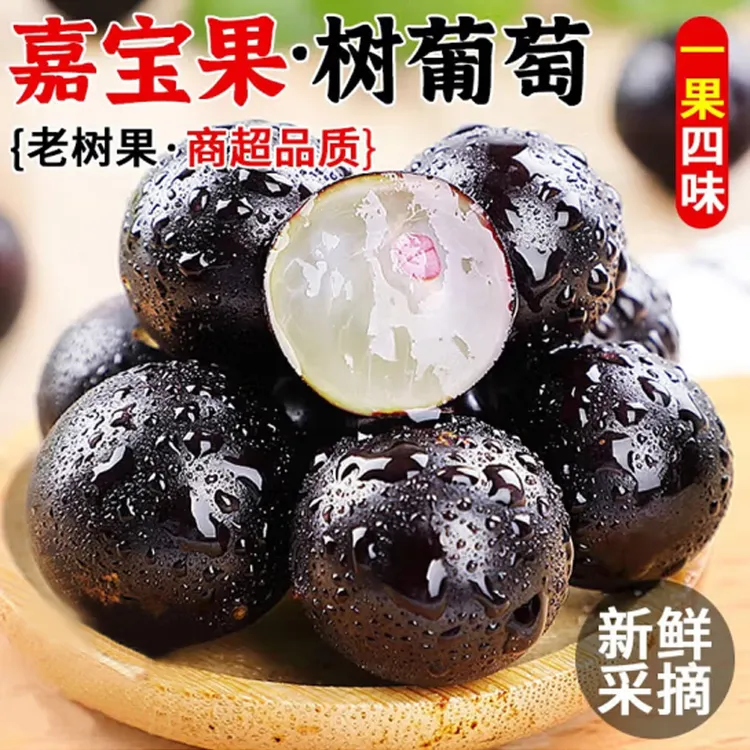 全爸农产品现摘嘉宝果鲜果新鲜沙巴树葡萄孕妇水果酸甜多汁1斤2斤