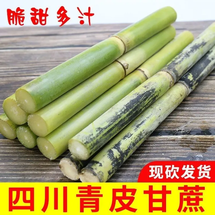 四川青皮甘蔗新鲜多汁脆甜薄皮现砍现发精选全中段