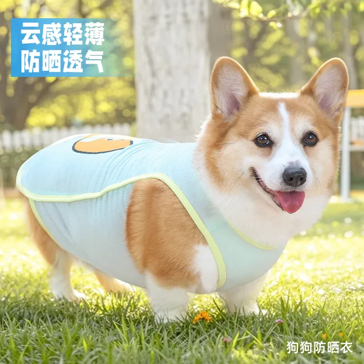 宠物狗狗衣服夏季防晒防掉毛薄款凉凉衣柯基狗狗凉凉衣透气背心