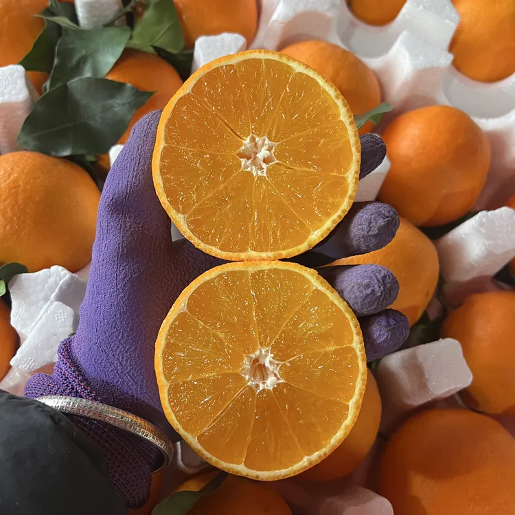 【包邮包售后】川西阳光薄皮爆汁蒲江爱媛果冻橙鲜果5/8斤装