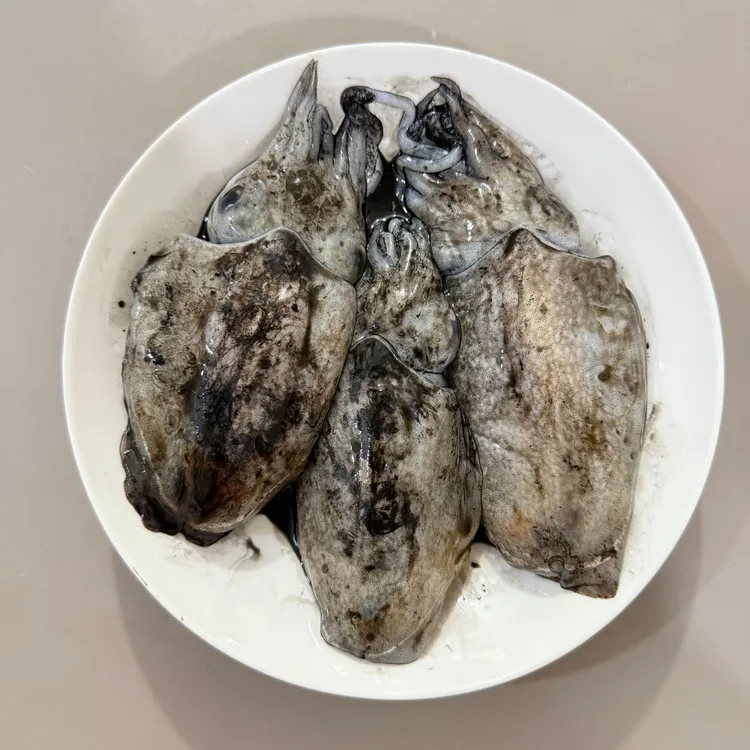 舟山嵊泗岛深海区域流网船捕捞野生墨鱼，干板不泡水有墨汁，有嚼劲
