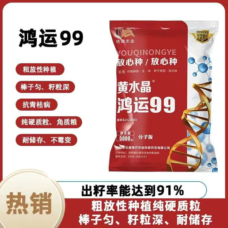 【鸿运99高产稳产玉米种子】均匀不秃尖耐密植耐旱产量高抗倒伏质粮