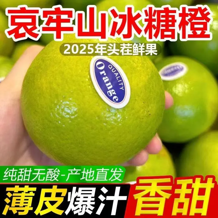 正宗云南哀牢山冰糖橙水果产地直发当季新鲜橙子青皮应季纯甜现摘
