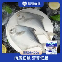 【鲜到鲜得】东海银鲳鱼400g*4包（到手共16条）