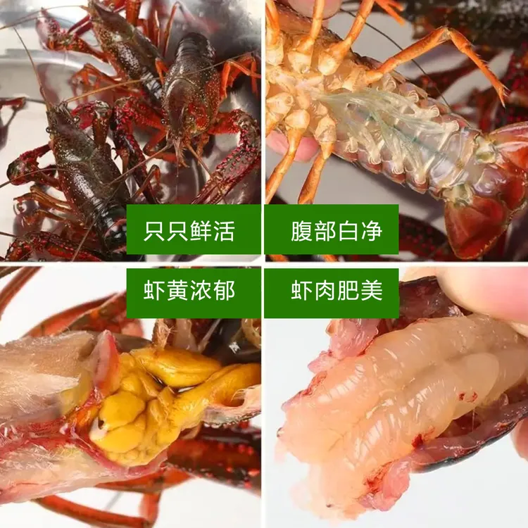 【活虾456中号小龙虾】3斤（18-30克单只）|现捞现发|小龙虾新鲜活