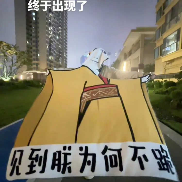 【视频同款】搞笑滑稽见到朕为何不跪皇帝搞怪宿舍法兰绒送礼送礼物