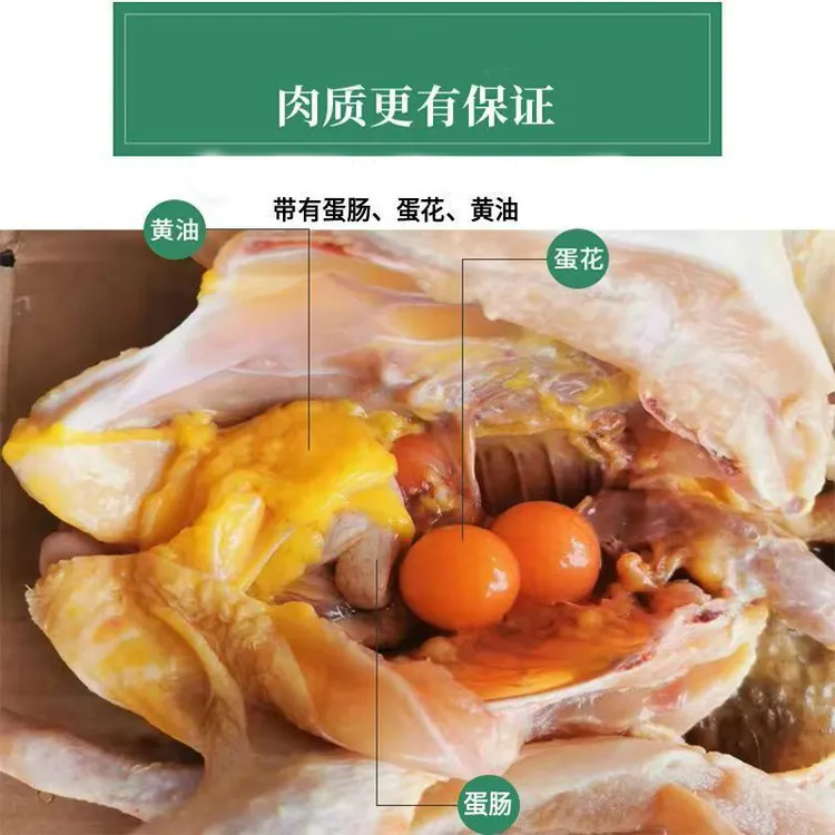 【直播专属】黄油黑脚老母鸡农家散养（带蛋花、黄油、蛋肠、胗）送鸡蛋