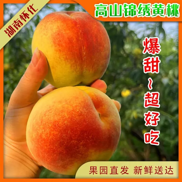 【韵达包邮】（中大果）麻阳高山红心黄桃新鲜当季脆甜水果5/9斤包邮