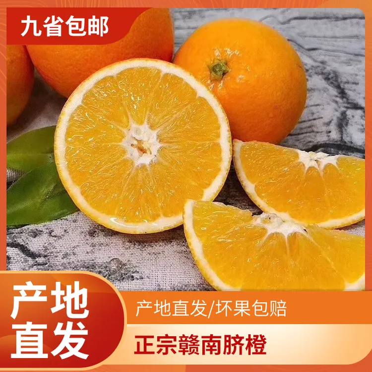（花皮果介意勿拍）江西寻乌赣南脐橙果园直供应季生鲜现摘现发