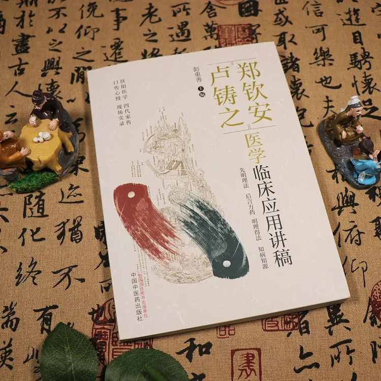 郑钦安卢铸之医学临床应用讲稿 阜阳医学 四代家传 口传心授 现场