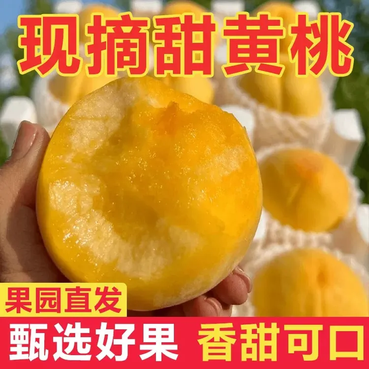 【京东专线 黄金蜜桃 】脆软两吃 农家现发香甜2斤/4.5斤 净重 孕妇