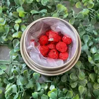 雨腾古茶 红R惊T“小GG”全T聚N环77g/罐 (9月22)