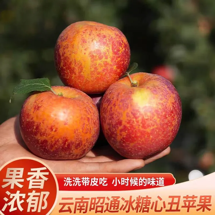 昭通冰糖心丑苹果